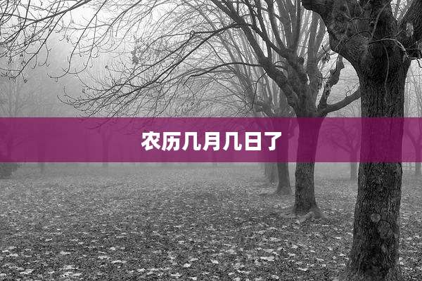 农历几月几日了
