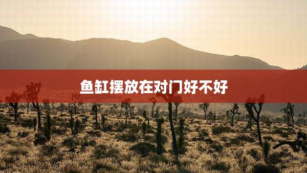 鱼缸摆放在对门好不好
