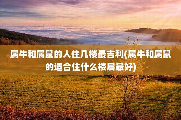 属牛和属鼠的人住几楼最吉利(属牛和属鼠的适合住什么楼层最好)