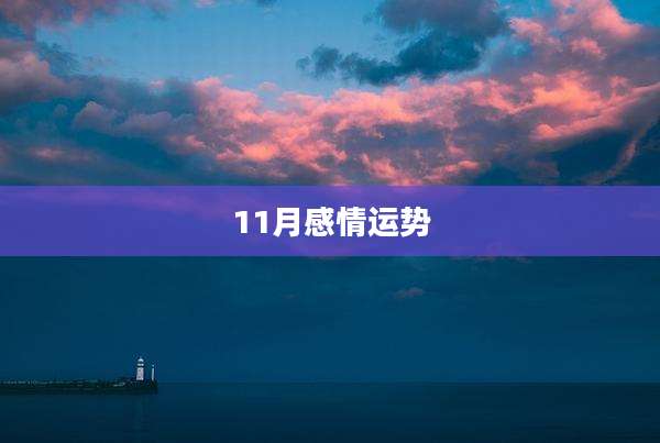 11月感情运势