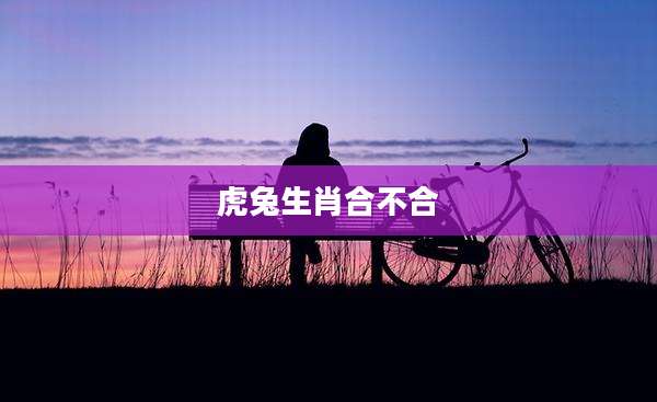 虎兔生肖合不合