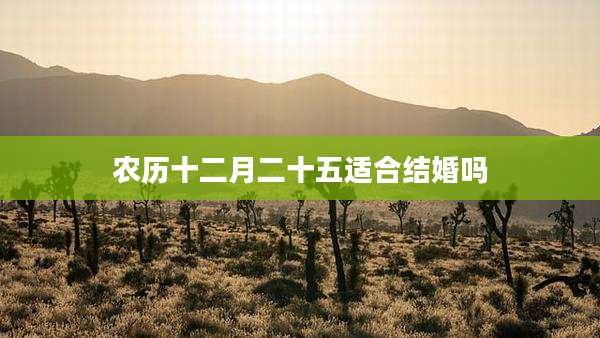 农历十二月二十五适合结婚吗