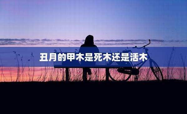 丑月的甲木是死木还是活木