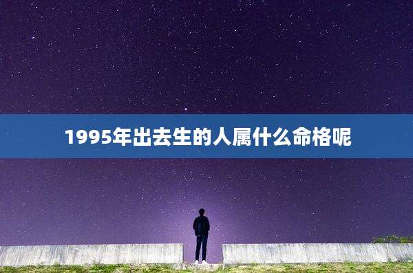 1995年出去生的人属什么命格呢