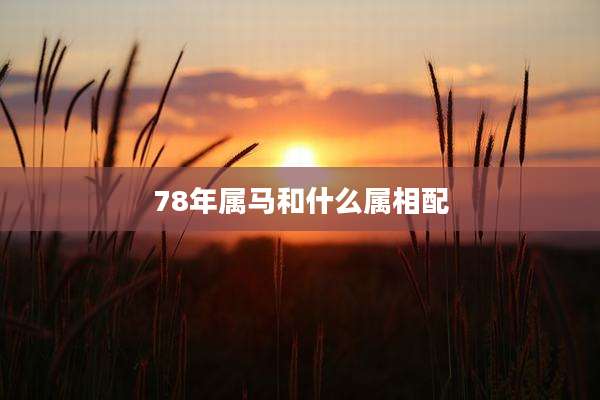 78年属马和什么属相配