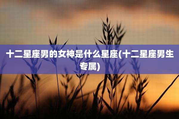 十二星座男的女神是什么星座(十二星座男生专属)
