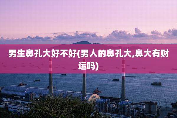 男生鼻孔大好不好(男人的鼻孔大,鼻大有财运吗)