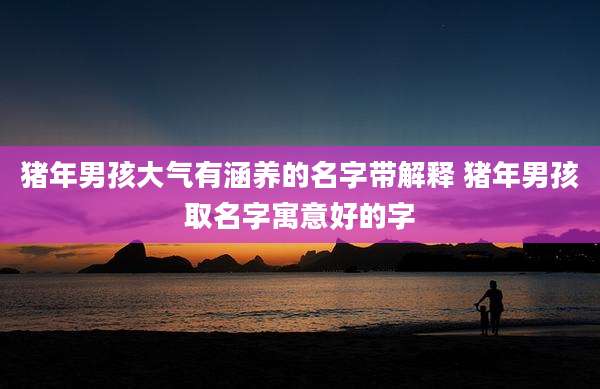 猪年男孩大气有涵养的名字带解释 猪年男孩取名字寓意好的字