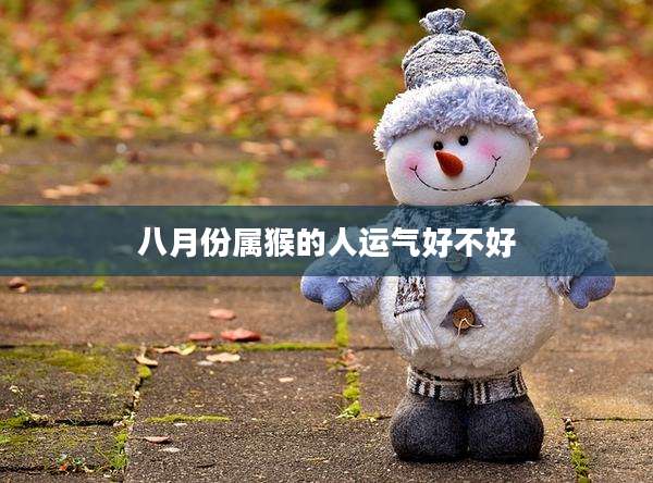 八月份属猴的人运气好不好