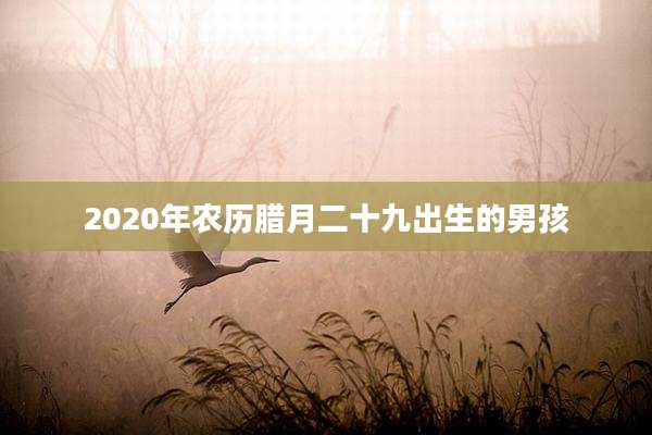 2020年农历腊月二十九出生的男孩