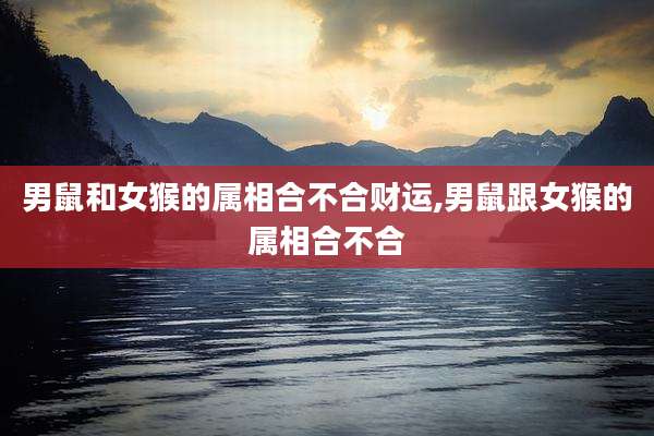 男鼠和女猴的属相合不合财运,男鼠跟女猴的属相合不合