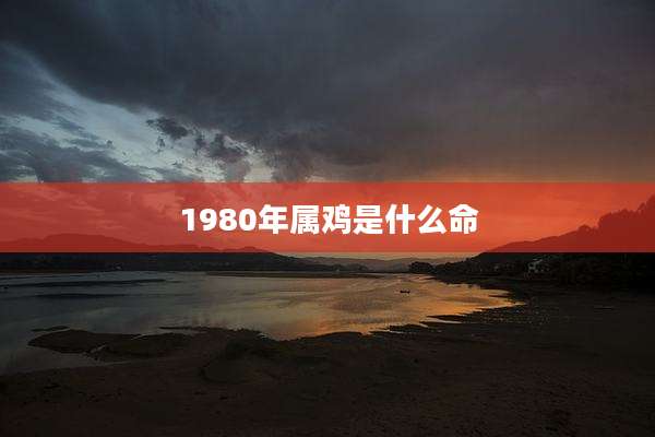 1980年属鸡是什么命