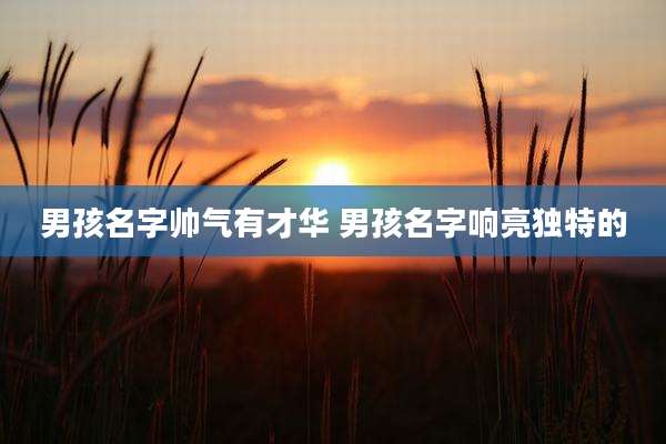 男孩名字帅气有才华 男孩名字响亮独特的