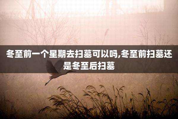 冬至前一个星期去扫墓可以吗,冬至前扫墓还是冬至后扫墓