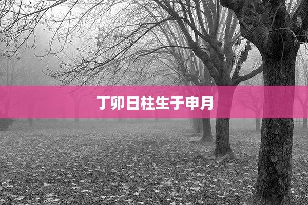 丁卯日柱生于申月