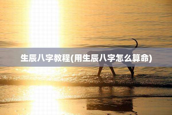 生辰八字教程(用生辰八字怎么算命)