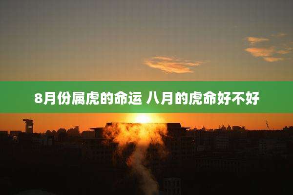 8月份属虎的命运 八月的虎命好不好