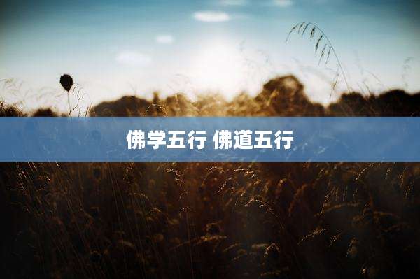 佛学五行 佛道五行