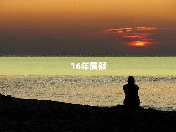 16年属猴