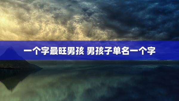 一个字最旺男孩 男孩子单名一个字