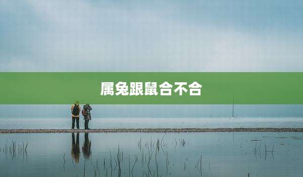 属兔跟鼠合不合