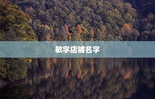 敏字店铺名字