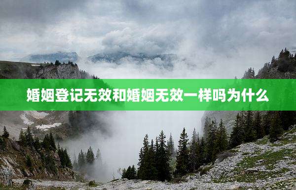 婚姻登记无效和婚姻无效一样吗为什么