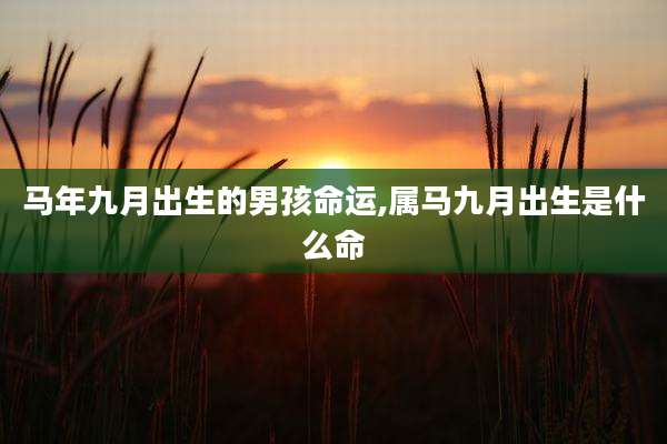 马年九月出生的男孩命运,属马九月出生是什么命