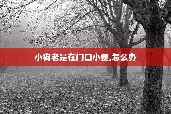 小狗老是在门口小便,怎么办