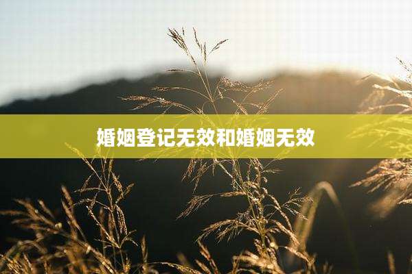 婚姻登记无效和婚姻无效