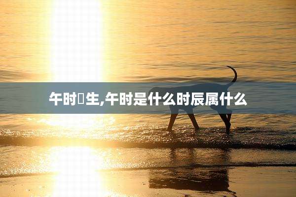 午时岀生,午时是什么时辰属什么