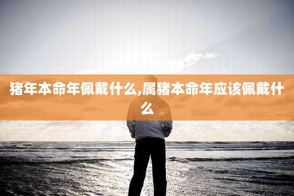 猪年本命年佩戴什么,属猪本命年应该佩戴什么