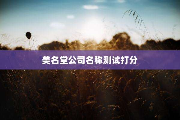 美名堂公司名称测试打分