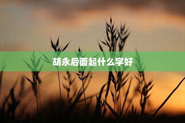 胡永后面起什么字好
