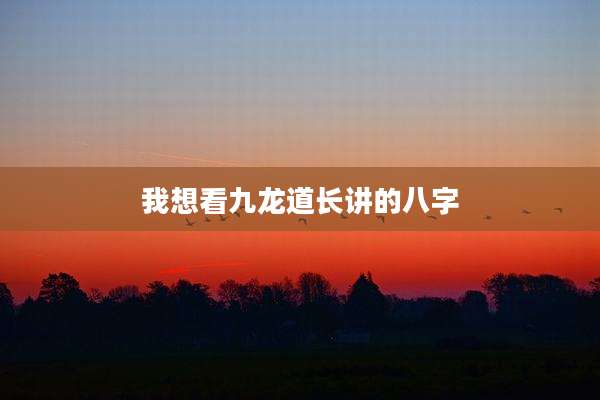 我想看九龙道长讲的八字