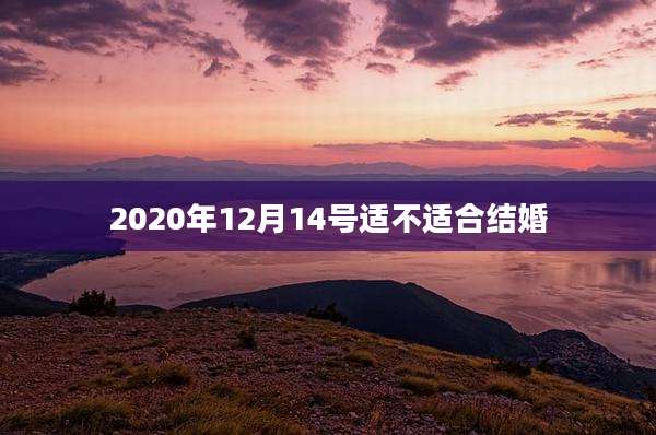 2020年12月14号适不适合结婚