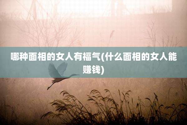 哪种面相的女人有福气(什么面相的女人能赚钱)
