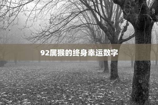 92属猴的终身幸运数字