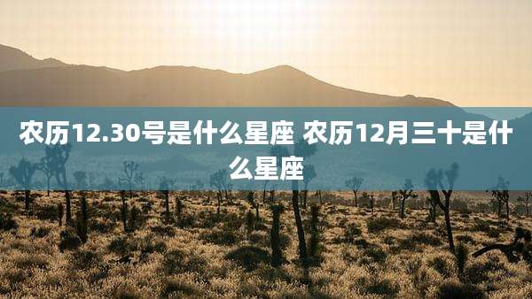 农历12.30号是什么星座 农历12月三十是什么星座