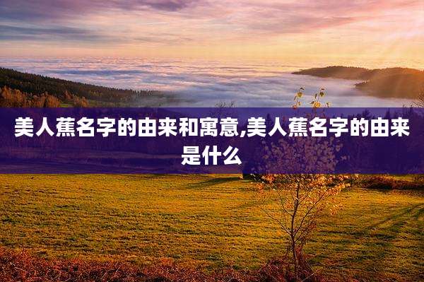 美人蕉名字的由来和寓意,美人蕉名字的由来是什么