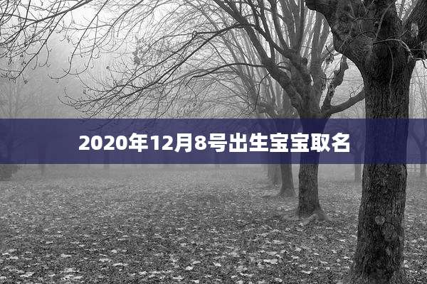 2020年12月8号出生宝宝取名