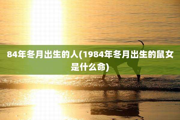 84年冬月出生的人(1984年冬月出生的鼠女是什么命)