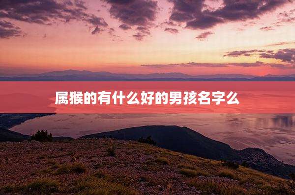 属猴的有什么好的男孩名字么