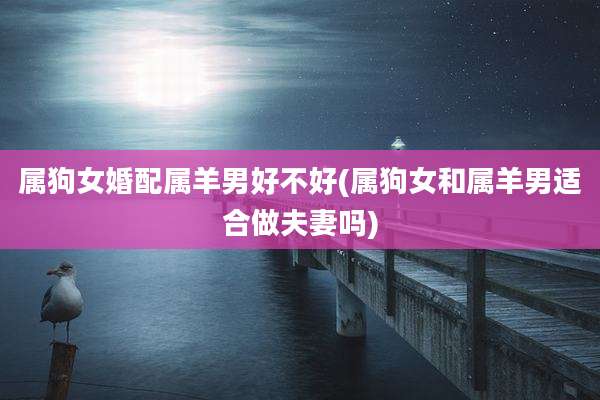 属狗女婚配属羊男好不好(属狗女和属羊男适合做夫妻吗)
