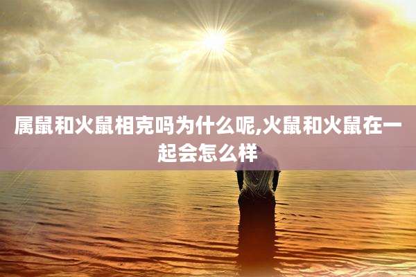 属鼠和火鼠相克吗为什么呢,火鼠和火鼠在一起会怎么样