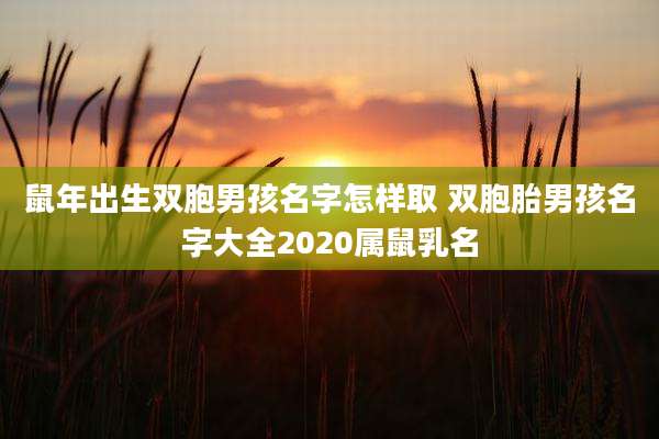 鼠年出生双胞男孩名字怎样取 双胞胎男孩名字大全2020属鼠乳名
