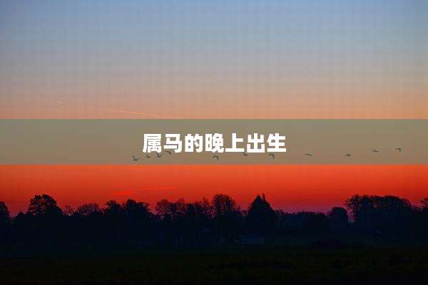 属马的晚上出生