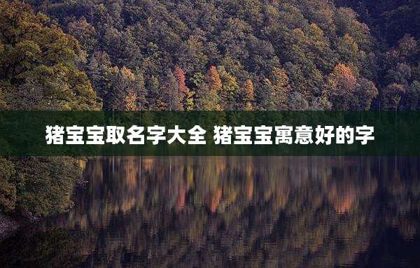 猪宝宝取名字大全 猪宝宝寓意好的字