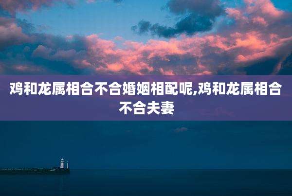 鸡和龙属相合不合婚姻相配呢,鸡和龙属相合不合夫妻
