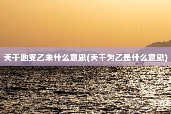 天干地支乙未什么意思(天干为乙是什么意思)